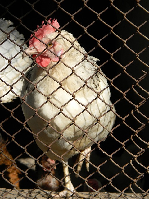 受各种公司 受各种公司