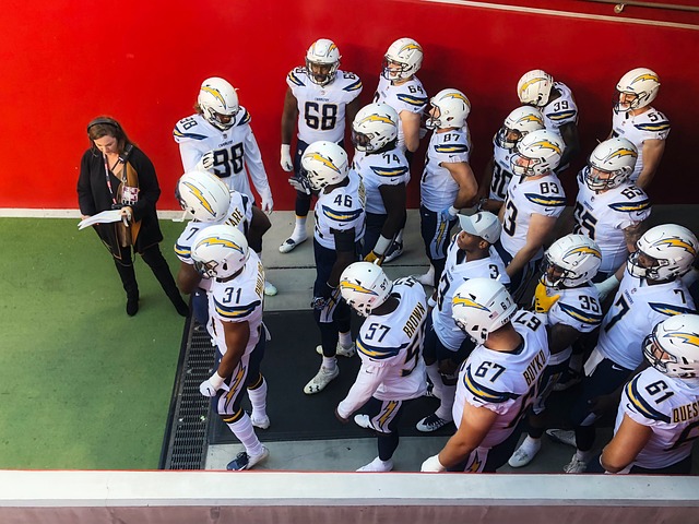 更具观赏价 更具观赏价