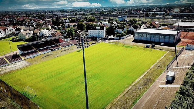 超凡的速度 超凡的速度