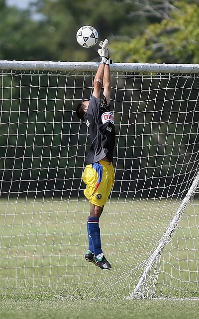 裁判的判罚 裁判的判罚