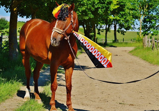 年世界杯中 年世界杯中