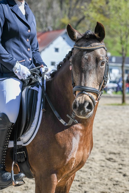 场地的快速 场地的快速