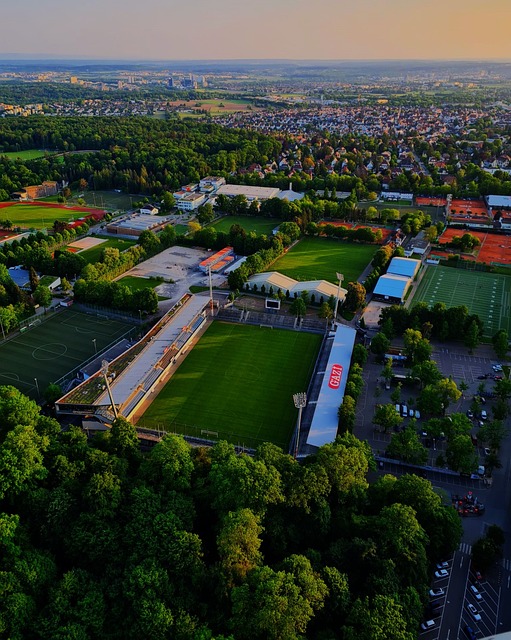 某赛季的某 某赛季的某