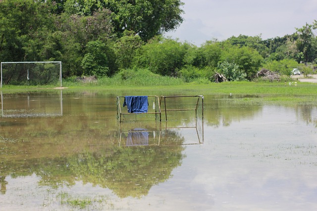赛外援政策 赛外援政策